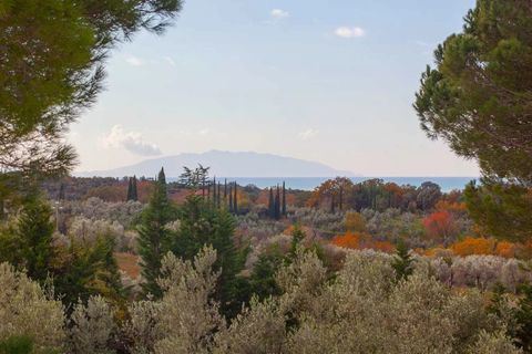 Villa a Guardistallo, Pisa, Guardistallo - € 980.000 | Ref: COSBS 2023H - foto 7