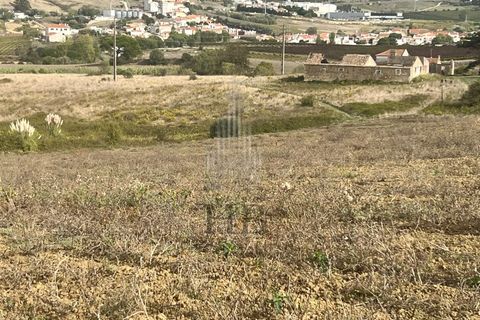 Helårsgrund i Matacaes, Lisbon, Matacaes - € 340.000 | Ref: HB0266 - foto 2