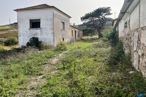Helårsgrund i Matacaes, Lisbon, Matacaes - € 340.000 | Ref: HB0266 - foto 27