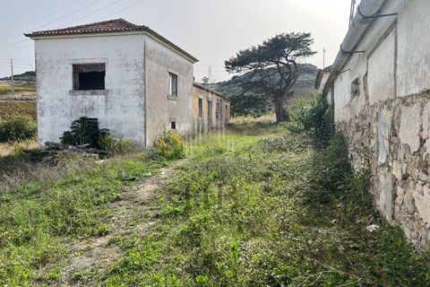 Helårsgrund i Matacaes, Lisbon, Matacaes - € 340.000 | Ref: HB0266 - foto 30