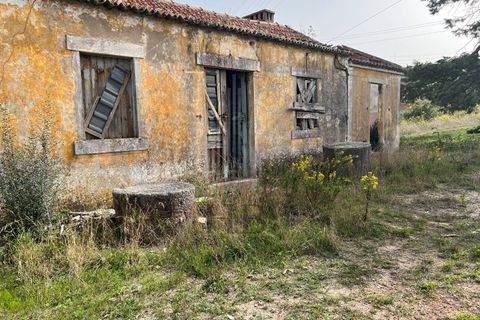 Helårsgrund i Matacaes, Lisbon, Matacaes - € 340.000 | Ref: HB0266 - foto 38