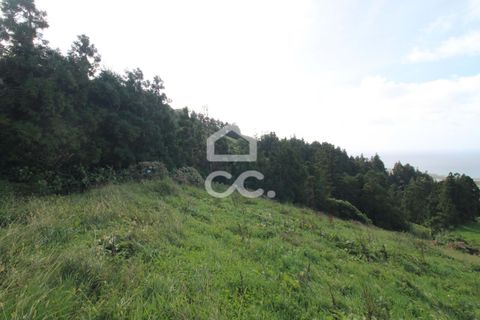 Helårsgrund i Ginetes, Sao Miguel, Ginetes - € 36.950 | Ref: 326/T/03281 - foto 10