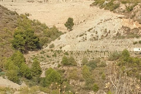 Helårsgrund i Molvizar, Granada, Molvizar - € 154.000 | Ref: M372 - foto 8