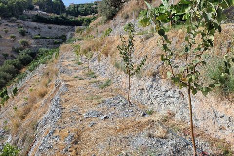Helårsgrund i Molvizar, Granada, Molvizar - € 91.000 | Ref: 1448 - foto 5