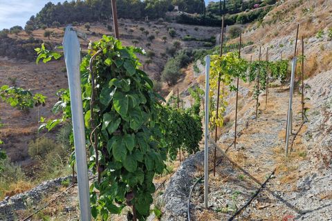 Helårsgrund i Molvizar, Granada, Molvizar - € 91.000 | Ref: 1448 - foto 13