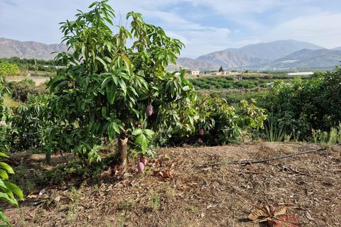 Grond in Salobrena, Granada, Salobrena - € 239.000 | Ref: M373 - foto 1