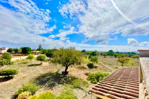Cortijo i Inca, Mallorca, Inca - € 698.000 | Ref: C-323 - foto 6
