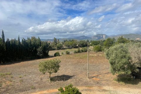 Cortijo i Inca, Mallorca, Inca - € 698.000 | Ref: C-323 - foto 7
