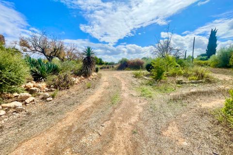 Cortijo i Inca, Mallorca, Inca - € 698.000 | Ref: C-323 - foto 18