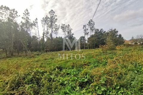 Helårsgrund i Viana do Castelo, Viana do Castelo, Viana do Castelo - € 180.000 | Ref: N318 - foto 2