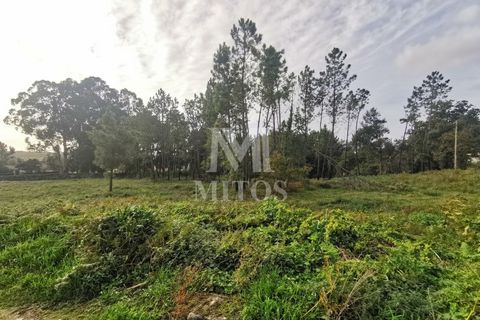 Helårsgrund i Viana do Castelo, Viana do Castelo, Viana do Castelo - € 180.000 | Ref: N318 - foto 3