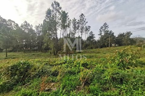 Helårsgrund i Viana do Castelo, Viana do Castelo, Viana do Castelo - € 180.000 | Ref: N318 - foto 4