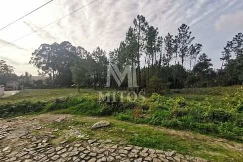 Helårsgrund i Viana do Castelo, Viana do Castelo, Viana do Castelo - € 180.000 | Ref: N318 - foto 5