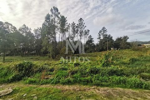 Helårsgrund i Viana do Castelo, Viana do Castelo, Viana do Castelo - € 180.000 | Ref: N318 - foto 6