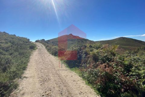 Helårsgrund i Vila Verde, Braga, Vila Verde - € 13.000 | Ref: 07760 - foto 4
