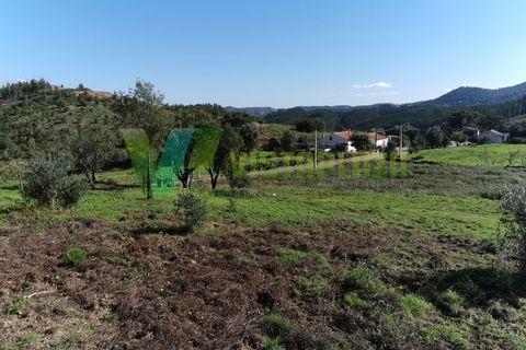 Helårsgrund i Monchique, Faro, Monchique - € 125.000 | Ref: LT-5827 - foto 7