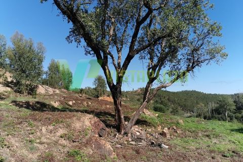 Helårsgrund i Monchique, Faro, Monchique - € 125.000 | Ref: LT-5827 - foto 10