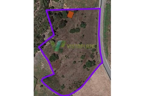 Helårsgrund i Monchique, Faro, Monchique - € 125.000 | Ref: LT-5827 - foto 12
