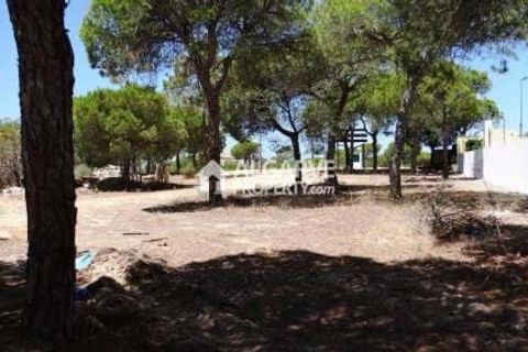 Helårsgrund i Almancil, Faro, Almancil - € 1.975.000 | Ref: TC143916J - foto 1
