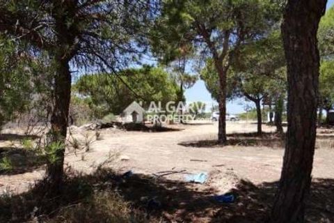 Helårsgrund i Almancil, Faro, Almancil - € 1.975.000 | Ref: TC143916J - foto 3