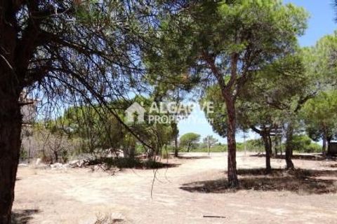 Helårsgrund i Almancil, Faro, Almancil - € 1.975.000 | Ref: TC143916J - foto 4