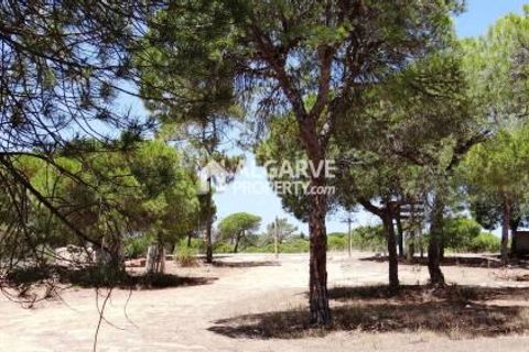 Helårsgrund i Almancil, Faro, Almancil - € 1.975.000 | Ref: TC143916J - foto 5