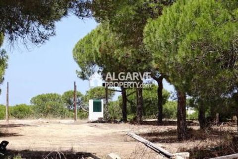Helårsgrund i Almancil, Faro, Almancil - € 1.975.000 | Ref: TC143916J - foto 6