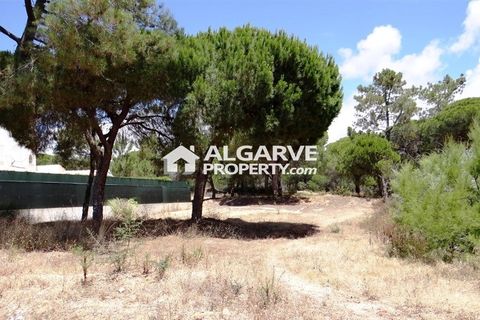 Helårsgrund i Almancil, Faro, Almancil - € 1.975.000 | Ref: TC143915J - foto 1