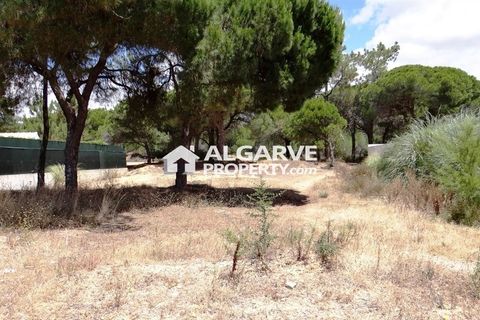 Helårsgrund i Almancil, Faro, Almancil - € 1.975.000 | Ref: TC143915J - foto 2