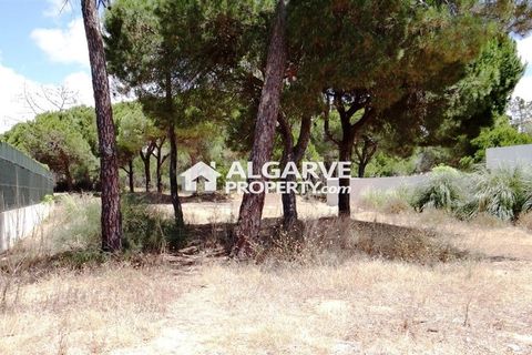 Helårsgrund i Almancil, Faro, Almancil - € 1.975.000 | Ref: TC143915J - foto 4