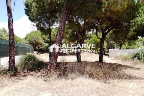 Helårsgrund i Almancil, Faro, Almancil - € 1.975.000 | Ref: TC143915J - foto 5