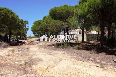 Helårsgrund i Almancil, Faro, Almancil - € 2.275.000 | Ref: TC143918J - foto 1