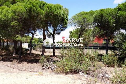 Helårsgrund i Almancil, Faro, Almancil - € 2.275.000 | Ref: TC143918J - foto 2