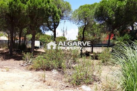 Helårsgrund i Almancil, Faro, Almancil - € 2.275.000 | Ref: TC143918J - foto 4