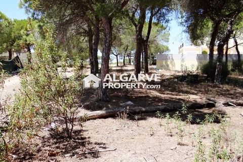 Helårsgrund i Almancil, Faro, Almancil - € 2.275.000 | Ref: TC143918J - foto 5