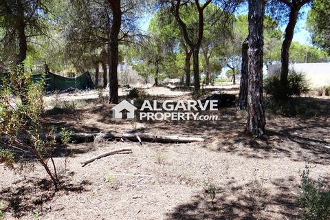 Helårsgrund i Almancil, Faro, Almancil - € 2.275.000 | Ref: TC143918J - foto 6
