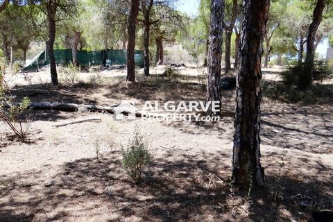 Helårsgrund i Almancil, Faro, Almancil - € 2.275.000 | Ref: TC143918J - foto 8