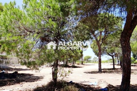 Helårsgrund i Almancil, Faro, Almancil - € 2.275.000 | Ref: TC143918J - foto 9
