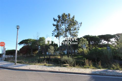 Helårsgrund i Almancil, Faro, Almancil - € 2.075.000 | Ref: TC185979J - foto 4
