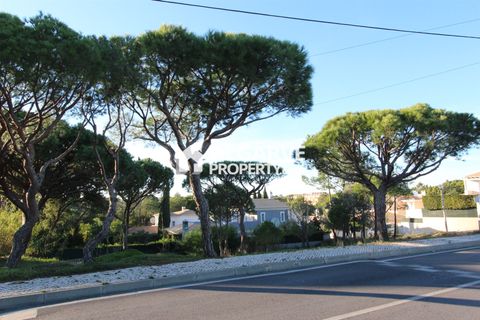 Helårsgrund i Almancil, Faro, Almancil - € 2.075.000 | Ref: TC185979J - foto 5