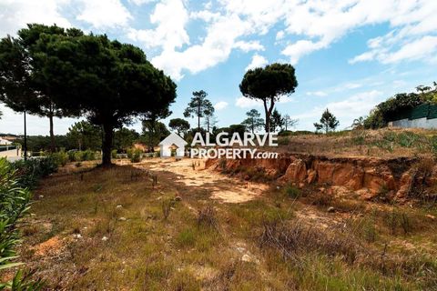 Helårsgrund i Almancil, Faro, Almancil - € 2.775.000 | Ref: TC206626J - foto 4