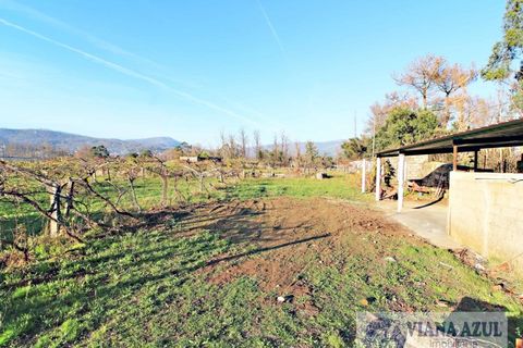 Farm i Ceivaes e Badim, Viana do Castelo, Ceivaes e Badim - € 350.000 | Ref: 1246 - foto 7