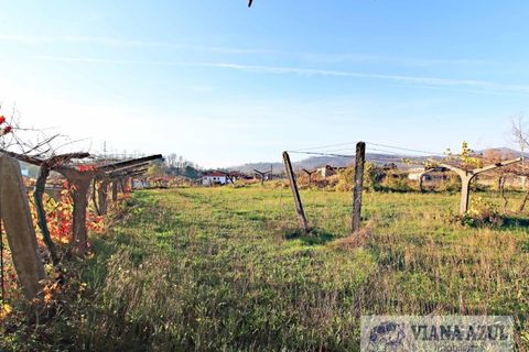 Farm i Ceivaes e Badim, Viana do Castelo, Ceivaes e Badim - € 350.000 | Ref: 1246 - foto 8