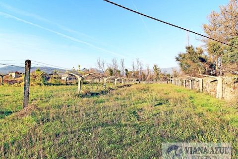 Farm i Ceivaes e Badim, Viana do Castelo, Ceivaes e Badim - € 350.000 | Ref: 1246 - foto 9