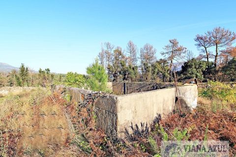 Farm i Ceivaes e Badim, Viana do Castelo, Ceivaes e Badim - € 350.000 | Ref: 1246 - foto 10