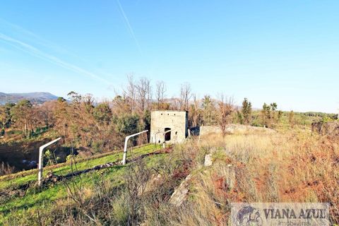 Farm i Ceivaes e Badim, Viana do Castelo, Ceivaes e Badim - € 350.000 | Ref: 1246 - foto 11