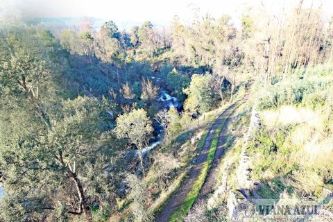 Farm i Ceivaes e Badim, Viana do Castelo, Ceivaes e Badim - € 350.000 | Ref: 1246 - foto 12