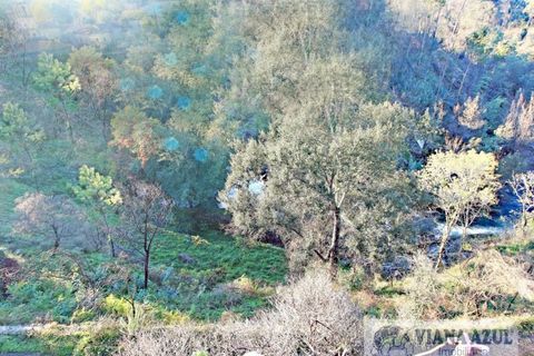 Farm i Ceivaes e Badim, Viana do Castelo, Ceivaes e Badim - € 350.000 | Ref: 1246 - foto 13