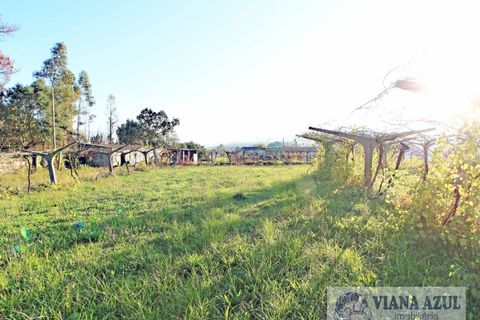 Farm i Ceivaes e Badim, Viana do Castelo, Ceivaes e Badim - € 350.000 | Ref: 1246 - foto 17