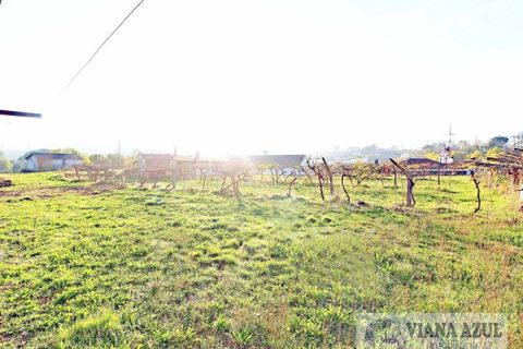 Farm i Ceivaes e Badim, Viana do Castelo, Ceivaes e Badim - € 350.000 | Ref: 1246 - foto 18